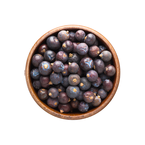 210. Jałowiec owoc.png