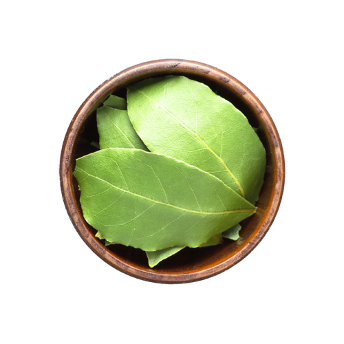 221. Liść laurowy.png